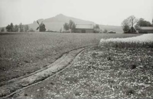 Oderwitz-Oberoderwitz. Ortsteilansicht mit Berndtmühle (Bockwindmühle)