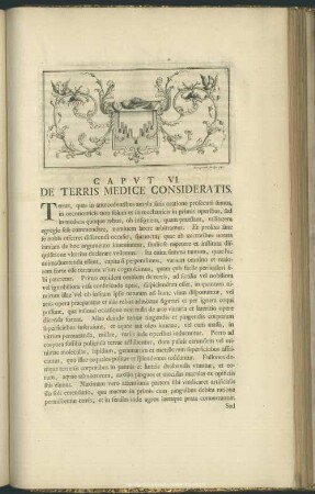Caput VI. De Terris Medice Consideratis