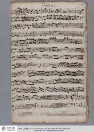 Violone