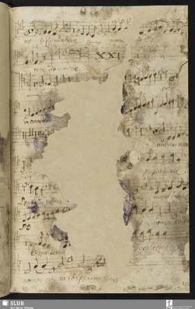 [Cesare, Giovanni Martino:] Benedicite Domino