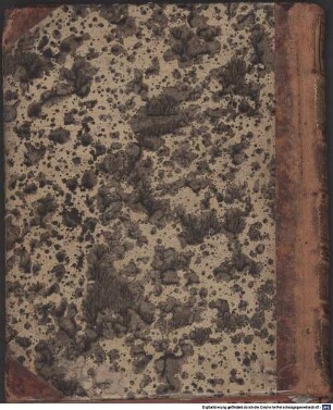 Chaldaica Grammatica : item in ... hoc est, commentaria Hebraeorum, regulae aliquot generales ...