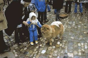 Staufen: Weihnachtsmarkt; mit Chow Chow, Hund von ?