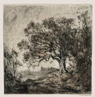 Großer Baum am Wegesrand