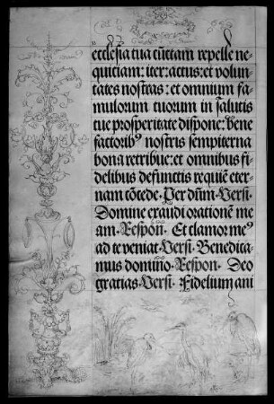 Gebetbuch Kaiser Maximilians I. — Arabesken, Kraniche, Folio 67verso