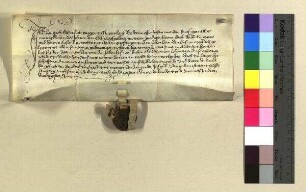 Leupolt Schurstab, Bürger zu Nürnberg stellt dem Wilhalm Grafen und Herren zu Castell einen Revers aus über den Lehensempfang eines Hofes zu Meylach (Mailach), den vorher Ritter Paulus Haller innehatte.