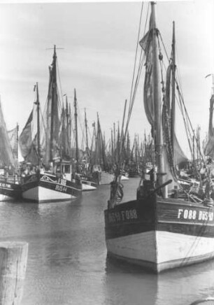 Büsum. Fischerflotte im Hafen