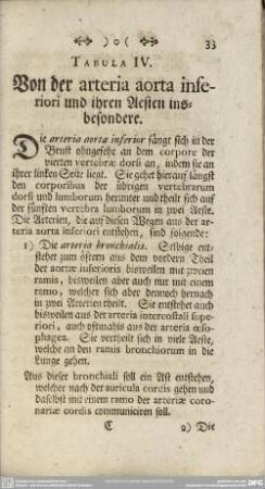 Tabula IV. Von der arteria aorta inferiori und ihren Aesten insbesondere