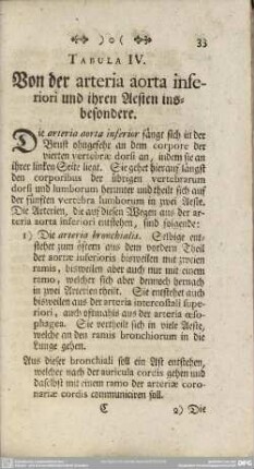 Tabula IV. Von der arteria aorta inferiori und ihren Aesten insbesondere