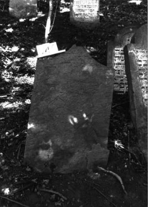 Grabstein 444 (Index: 99898068) Zustand: Inschrift vollständig verwittert Maße HxBxT: 100x60x9 cm: Grabstein 444
