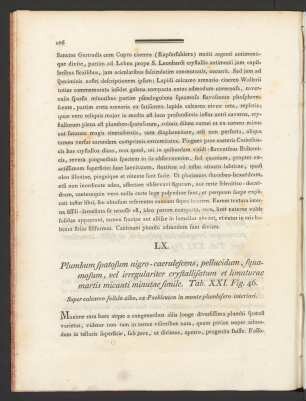 LX. Plumbum spatosum nigro-caerulescens, pellucidum, squamosum, vel irregulariter crystallisatum et ... Tab. XXI. Fig. 46