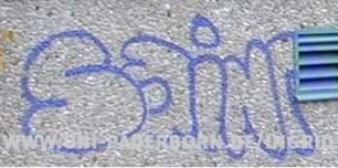 SaiNT
