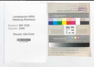 Entnazifizierung Karl Erich Rausch , geb. 02.12.1899 (Betriebsdirektor)