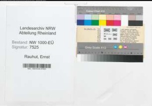 Entnazifizierung Ernst Rauhut, geb. 14.11.1910 (Regierungsangest.)