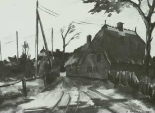 Straße auf dem Fischland