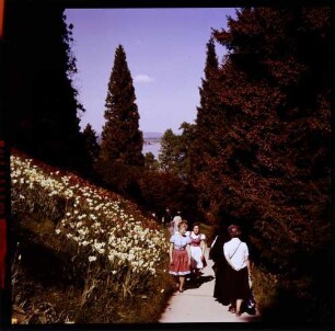 Insel Mainau: Weg mit Mädchen im Dirndl