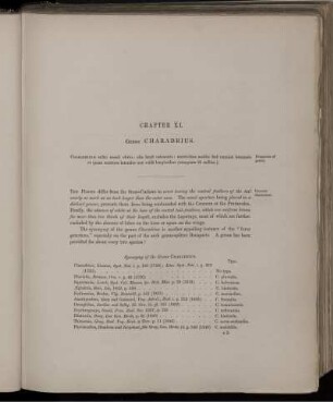 Chapter XI. Genus Charadrius.