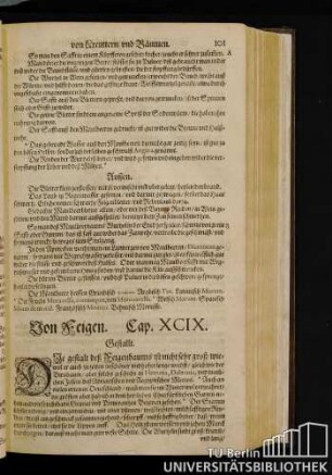 Cap. XCIX. Von Feigen.
