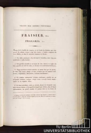 Fraisier. Duh. Fragarier. Lin.
