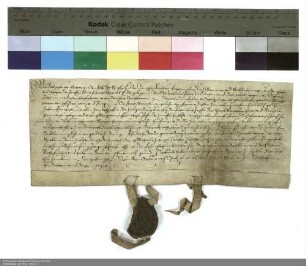 Balthasar [von Dernbach], Abt von Fulda und Inhaber der Propstei Petersberg, Vizedechant Valentin Faber und der Konvent von Petersberg verleihen Georg Hektor von Jossa eine Wiese in der heiligen Kreuz-Aue