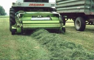 Fotografie: Ernteverfahren, Parallelverfahren, Feldhäcksler selbstfahrend, Grassilage, Pickup