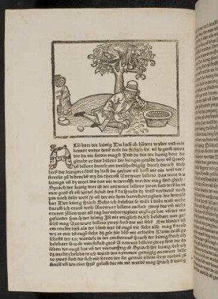 Der Mann mit dem Linsensack und der Affe im Baum; (Kapitel X: Von König Sedras)
