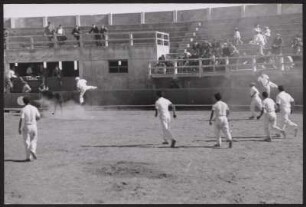 Beim Stierlauf in der Arena von Saintes-Maries-de-la-Mer