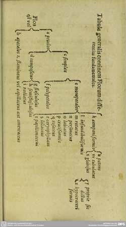 Tabula generalis contines Florum differentias fundamentales