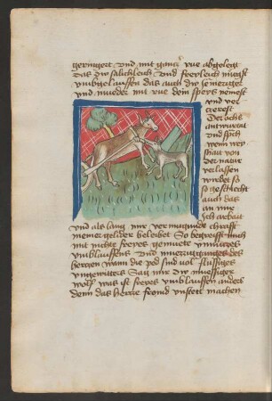 Ochse und Wolf