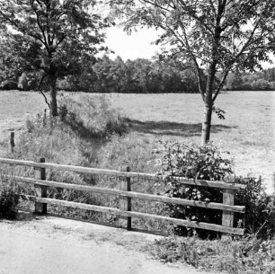 Tremsbüttel-Dorf: Grootbek: verkrauteter Bach: vorn Straße mit Geländer: links Baum: im Hintergrund Gehölz