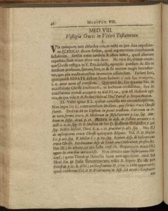 Meditatio VIII.