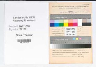 Entnazifizierung Theodor Gries, geb. 09.08.1901 (Lehrer)