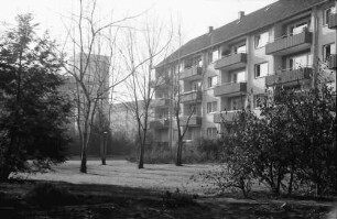 Freiburg: Hof mit Birken; Offenburger Straße - Rastatter Straße mit Elisabeth Kirche