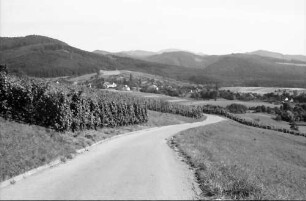 Ebringen: Von der Straße nach Wittnau