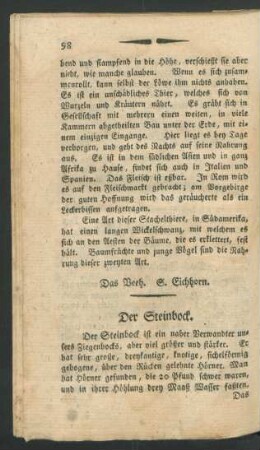 Der Steinbock