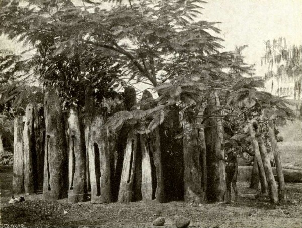 "Orchestra made from hollow tree trunks"