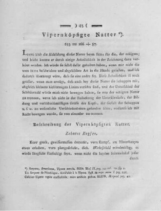 Vipernköpfigte Natter.
