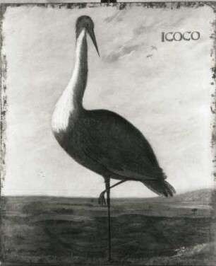 ICOCO Reiher (Ardea brasliliensis) : ICOCO Reiher (Ardea brasliliensis). Öl auf Leinwand (1655/1663; A. Eckhout). Radebeul, Hoflößnitz, Berg- und Lusthaus, Festsaal (nach der Restaurierung)