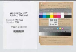 Entnazifizierung Cornelius Trippel , geb. 27.03.1910 (Stadtinspektor)