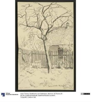 Obstbäume und Gartenzaun