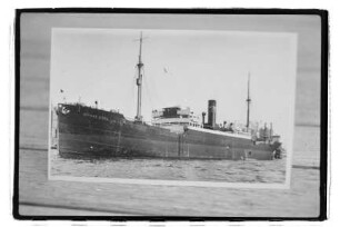 Ditmar Koel ex Willy Rickmers (1915), Frachtschiff, Hanseatische Reederei, Hamburg, Bau-Nr. 168