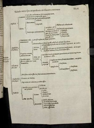 Tabula tertia specie qualitatis divisionem continens.