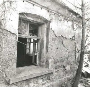 Schkeuditz-Modelwitz, Am Bornberg 12. Gehöft (1801/1900). Wohnhaus. Fenster (Seitenfront)