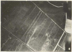 Feld bei der Garchinger Mühle (1000 m)