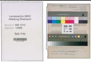 Entnazifizierung Fritz Spill , geb. 22.07.1902 (Werrkmeister)
