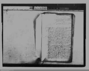 . Fürstinwitwe Elisabeth von Nassau-Hadamar ./. Agnaten des Hauses Nassau-Katzenelnbogen: Anspruch auf Besitzrechte und Versorgungsleistungen: Band 1