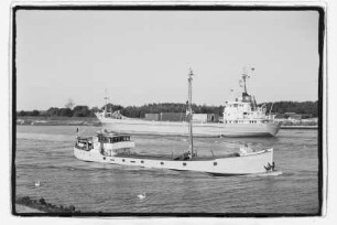 Butjadingen ex Obereider (1931), Wilkens, Brake