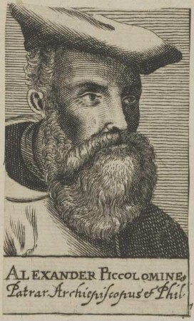 Bildnis des Alexander Piccolomineus