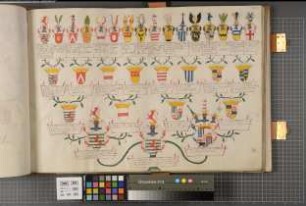 Proband: Heyden gen. Belderbusch, Clemens Vinzenz Franz Johann Elisabeth Nikolaus von der; Vater: Heyden gen. Belderbusch, Maximilian Wilhelm von der; Mutter: Satzenhoven, Johanna Gräfin von: Westfalen, Hzgtm, Ritterschaft