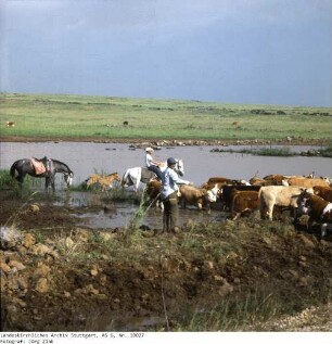 Israel: Golan