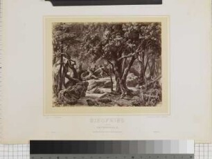Der Ring des Nibelungen / Siegfried, Fafnerwald